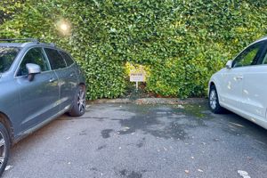 Photo 2- click for photo gallery